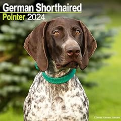 German shorthaired pointer gebraucht kaufen  Wird an jeden Ort in Deutschland