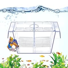 Datoo fish breeding for sale  Delivered anywhere in USA 