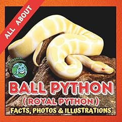 Ball python facts for sale  Delivered anywhere in UK