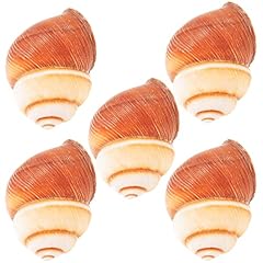 Upkoch escargot shells for sale  Delivered anywhere in UK