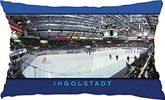 Blue letter eishockey gebraucht kaufen  Wird an jeden Ort in Deutschland