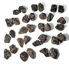 Pieces turritella agate for sale  Delivered anywhere in USA 