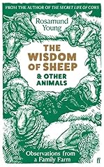 Wisdom sheep animals for sale  Delivered anywhere in UK