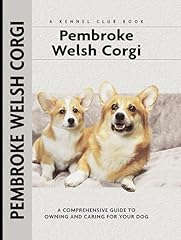 Pembroke welsh corgi usato  Spedito ovunque in Italia 