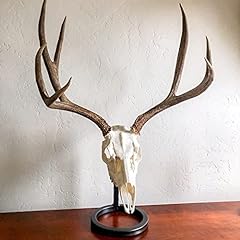 Skull bracket table for sale  Delivered anywhere in USA 