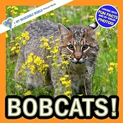 Bobcats incredible picture for sale  Delivered anywhere in USA 