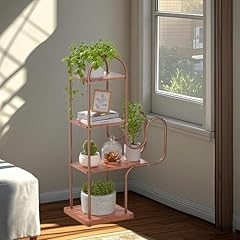 Allinside cactus plant for sale  Delivered anywhere in USA 