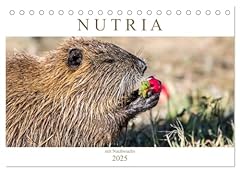 Nutria nachwuchs calvendo gebraucht kaufen  Wird an jeden Ort in Deutschland