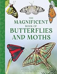 Magnificent book butterflies for sale  Delivered anywhere in UK
