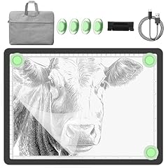 Yingwond 9000lux rechargeable for sale  Delivered anywhere in USA 