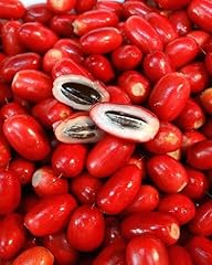 Graines fruits dulcificum d'occasion  Livré partout en France