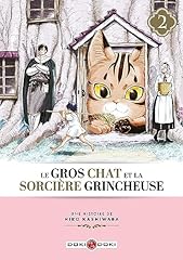 Gros chat sorcière d'occasion  Livré partout en France