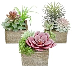 Mingfuxin artificial succulent for sale  Delivered anywhere in USA 