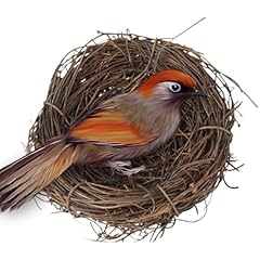 Bird breeding bird for sale  Delivered anywhere in UK