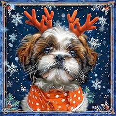 Cute shih tzu for sale  Delivered anywhere in UK