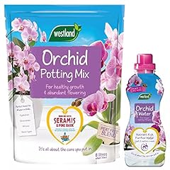 Topline orchid plant for sale  Delivered anywhere in UK
