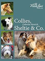 Collies sheltie co. for sale  Delivered anywhere in UK