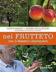 Nel frutteto con usato  Spedito ovunque in Italia 