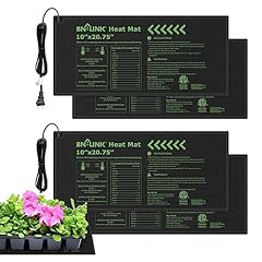 Link durable seedling for sale  Delivered anywhere in USA 