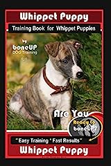 Whippet puppy training for sale  Delivered anywhere in UK