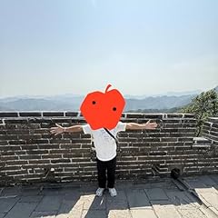 Oui pomme explicit d'occasion  Livré partout en France