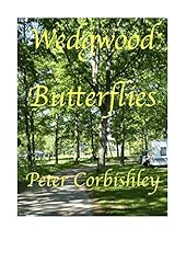 Wedgwood butterflies for sale  Delivered anywhere in UK