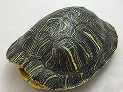 Red ear turtle for sale  Delivered anywhere in USA 