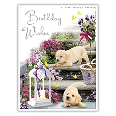 Female birthday card for sale  Delivered anywhere in UK