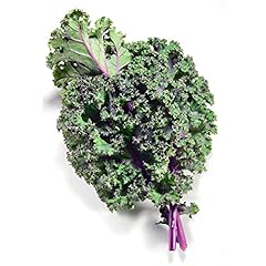 Todd seeds red for sale  Delivered anywhere in USA 