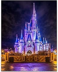 Cinderella castle 11x14 for sale  Delivered anywhere in USA 