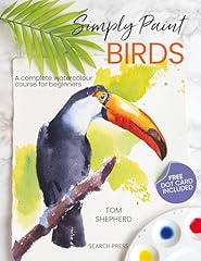 Simply paint birds for sale  Delivered anywhere in UK