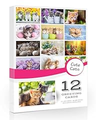 Cat greetings cards for sale  Delivered anywhere in UK