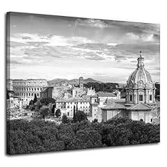 Toner quadro tela usato  Spedito ovunque in Italia 