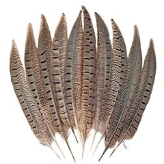 Feelfunfeather 5pcs pheasant for sale  Delivered anywhere in USA 