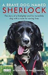 Sherlock the fire d'occasion  Livré partout en Belgiqu