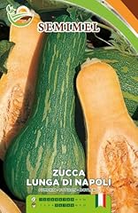 Zucca lunga napoli usato  Spedito ovunque in Italia 