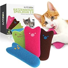 Katzox cuscini per usato  Spedito ovunque in Italia 