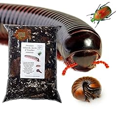 Bugznbits premium millipede for sale  Delivered anywhere in UK