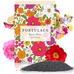 Portulaca grandiflora moss for sale  Delivered anywhere in USA 