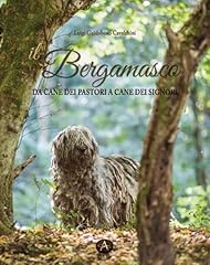 Bergamasco. cane dei usato  Spedito ovunque in Italia 