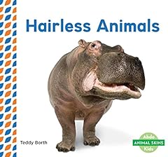 Hairless animals for sale  Delivered anywhere in UK