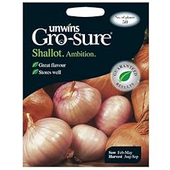 Unwins shallot ambition for sale  Delivered anywhere in UK