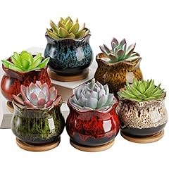 Topzea set succulent for sale  Delivered anywhere in USA 