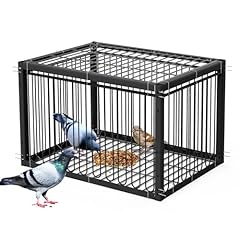 Pauqrwie pigeon trap for sale  Delivered anywhere in USA 