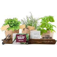 Kit vintage piante usato  Spedito ovunque in Italia 