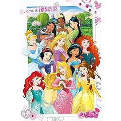 Disney princess 91.5 d'occasion  Livré partout en France