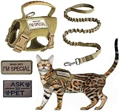 Zhhsuny taktisches katzengesch gebraucht kaufen  Wird an jeden Ort in Deutschland