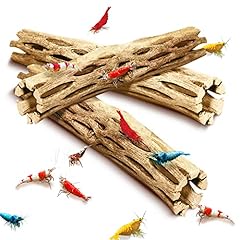 Sungrow cholla wood for sale  Delivered anywhere in USA 