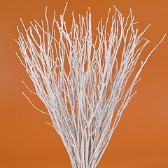 40pcs real dried for sale  Delivered anywhere in USA 