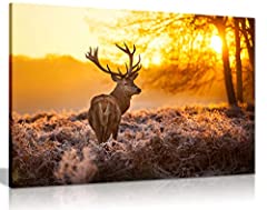 Red deer morning for sale  Delivered anywhere in UK